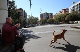 Metrostation Baro de Viver